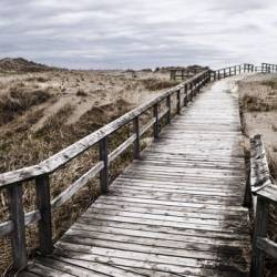 From Oceans To Autumn : Equanimity